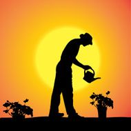 Vector silhouette of a gardener N59