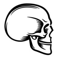 Human skull profile