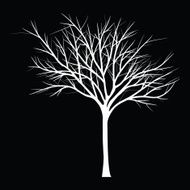 Trees with dead branch N136