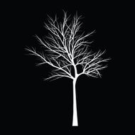 Trees with dead branch N140