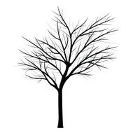 Trees with dead branch N144