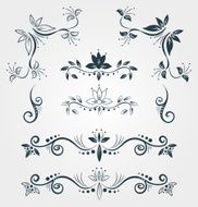 Set of floral calligraphy decorative elements