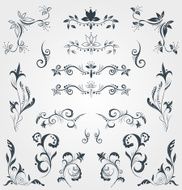 Set of floral calligraphy decorative elements N2