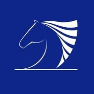 Horse symbol vector N19