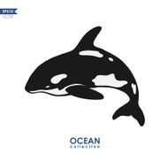 orca whale