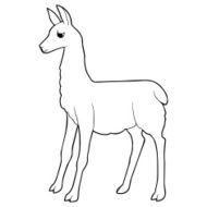 Cute smiling llama outline