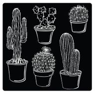 vector illustration silhouettes of cacti