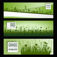 strip of grass