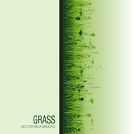 Grass N19