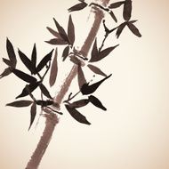 Bamboo hand drawn background Chinese painting