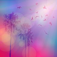 Silhouette of palm trees birds sky pink background sunset dawn