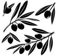 Olive branches silhouettes
