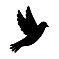 silhouette of the bird