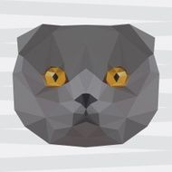 Abstract polygonal geometric triangle grey colored british cat portrait background