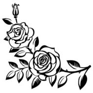 Branch of roses