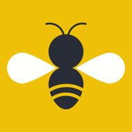 Insect N5