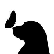 Vector silhouette of a dog N186