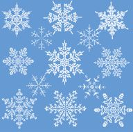 Snowflakes N93