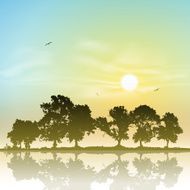 Line of Trees N4