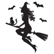 The beautiful silhouette of a witch on broom