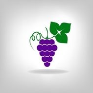silhouette of grapes N5