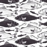 fish background N7