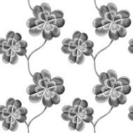 clover N19
