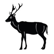 Silhouette deer N4