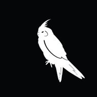 Bird Silhouettes N11