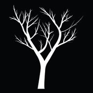 Trees with dead branch N145