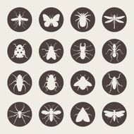 Insects N9