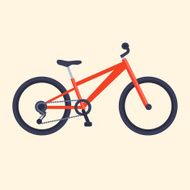 Bicycle N49