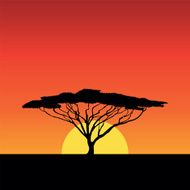 africa sunset
