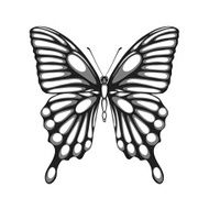 beautiful black and white butterfly with watercolor effect N2