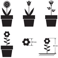 Flowers in pots and flower size scheme