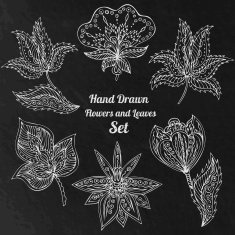 White Line Art Flowers And Leaves At Black Grunge Background N2