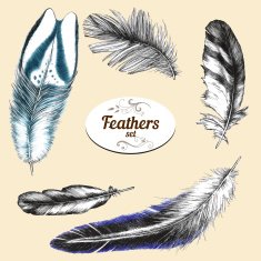 Feathers N39