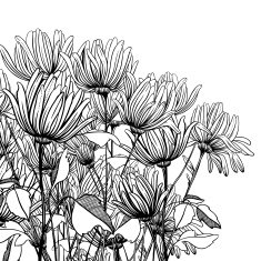 monochrome graphic flowers