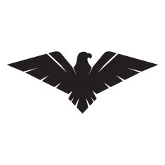 Eagle icon N13 free image download