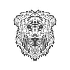 Zentangle stylized lion head N2