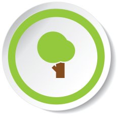 Tree Icon N33