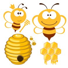 Bee and Honey set N2