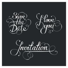 Set of Wedding calligraphic lettering