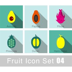 Fruit flat icon design N13