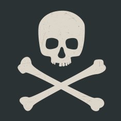 skull and crossbones N35
