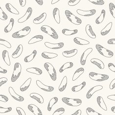 Seamless pattern with brazil nuts