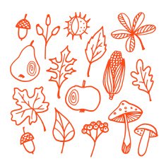 Set of autumn fall elements various leaves fruits vector N2
