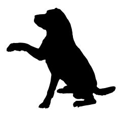 Vector silhouette of a dog N183