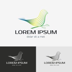 Bird vector logo template