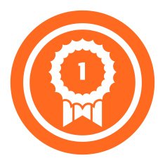 Winner Award Ribbon N3